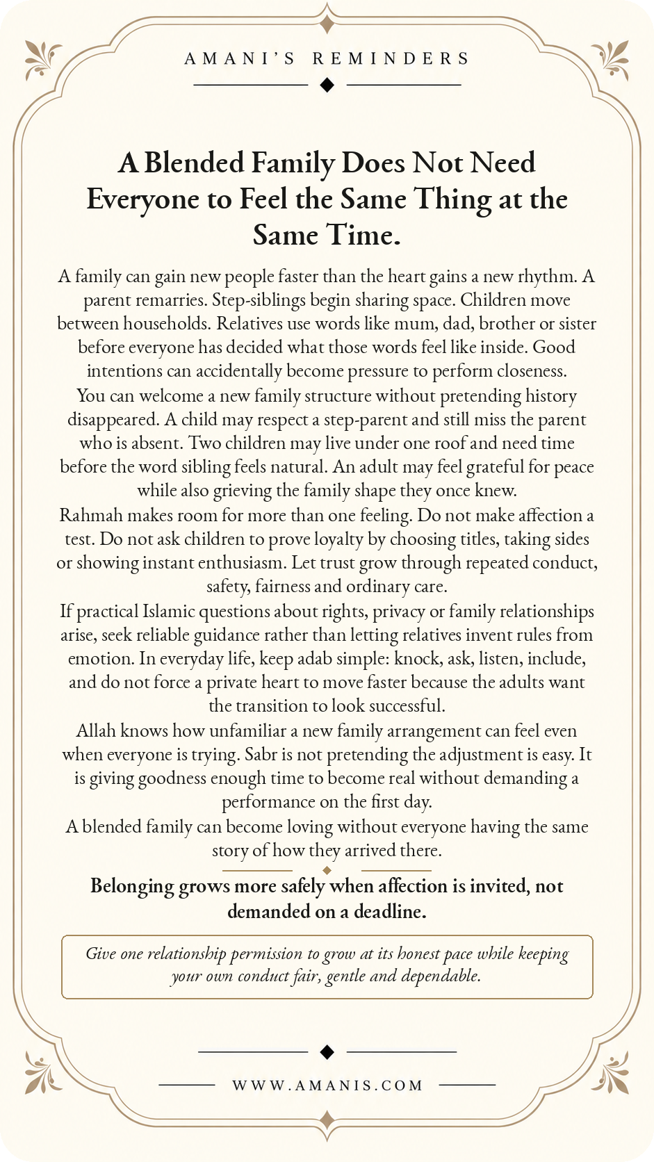 Amani’s Reminders Family: A Blended Family Does Not Need Everyone to Feel the Same Thing at the Same Time.