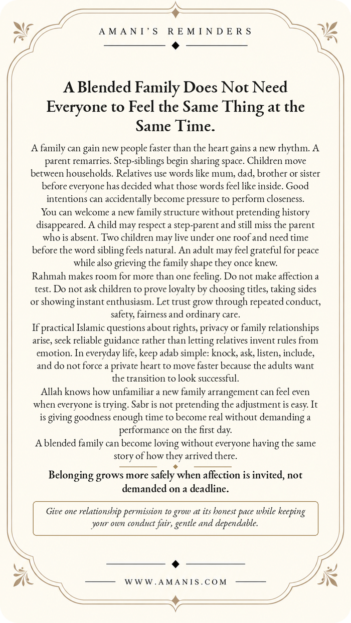 Amani’s Reminders Family: A Blended Family Does Not Need Everyone to Feel the Same Thing at the Same Time.