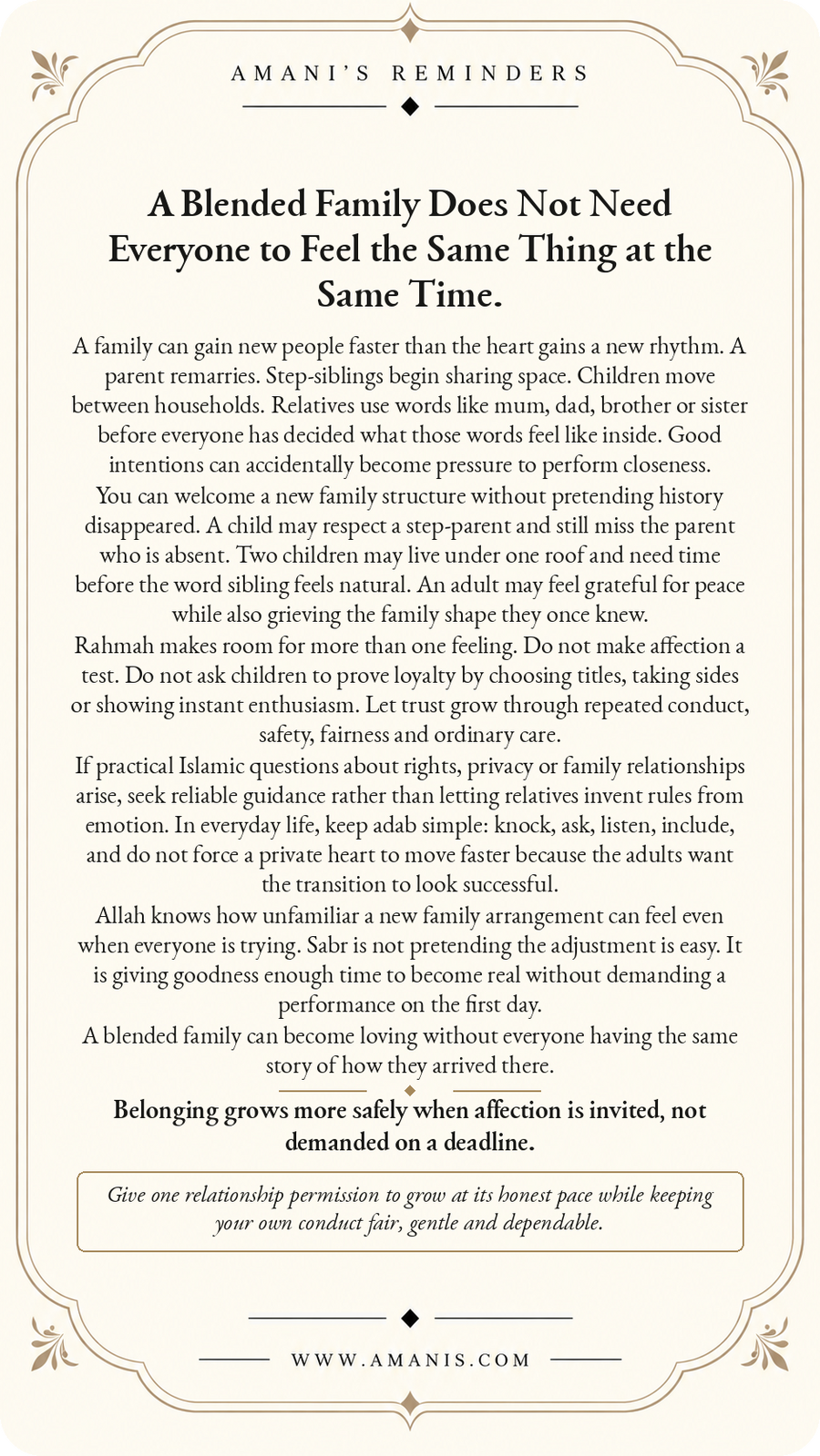 Amani’s Reminders Family: A Blended Family Does Not Need Everyone to Feel the Same Thing at the Same Time.