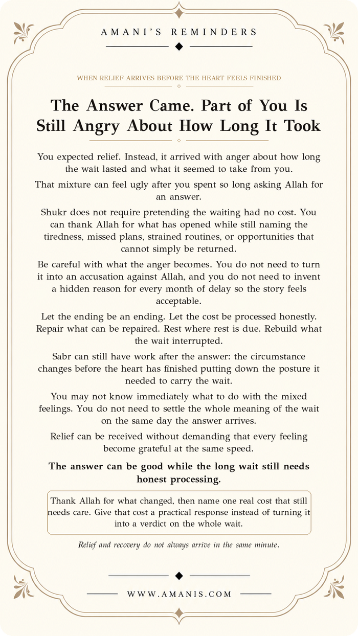 Amani’s Reminders Sabr & Patience artwork: The Answer Came. Part of You Is Still Angry About How Long It Took