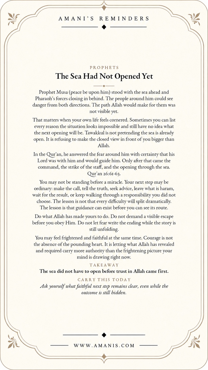 Amani’s Reminders Prophets artwork: The Sea Had Not Opened Yet